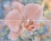 9132fd42adf9a2217bf512bd797f6a5e